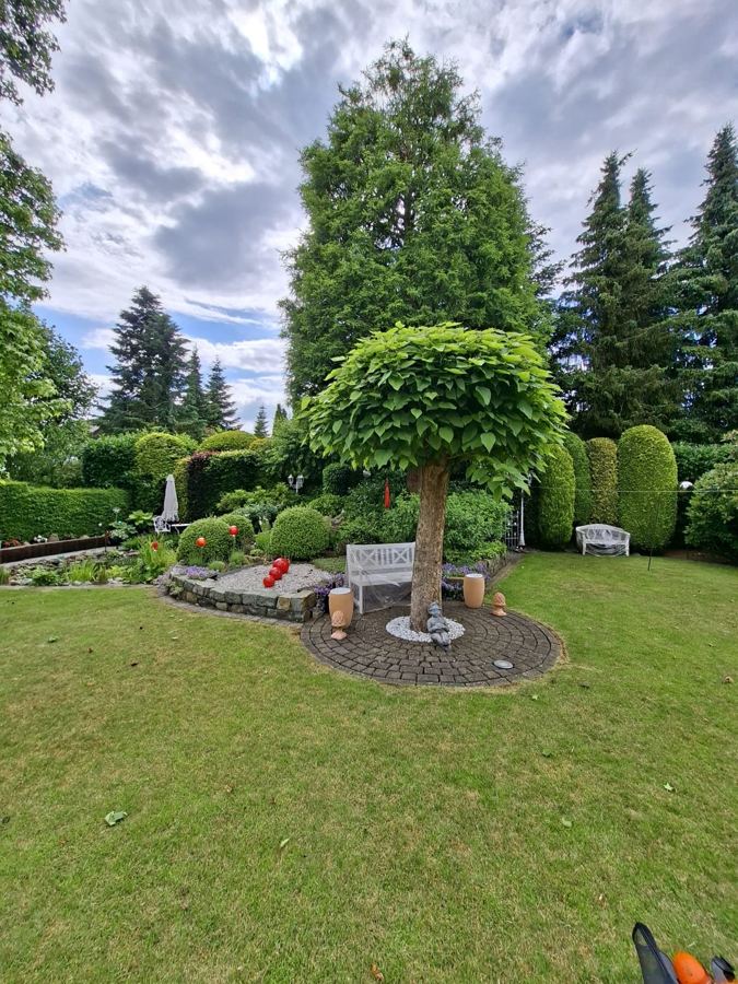 Gepflegte Gartenanlage mit Rasen, Bäumen und Sitzbank