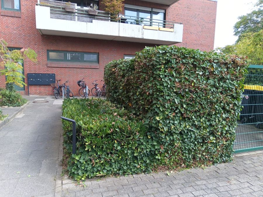 In Form geschnittene Hecke am Eingang eines Mehrfamilienhauses